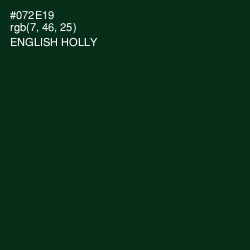 #072E19 - English Holly Color Image
